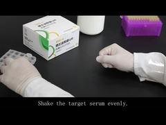 Prueba rápida para la detección de los anticuerpos P.M.-IgM (oro coloidal)