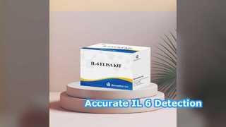 Kit IL-6 ELISA 96 pruebas Detección precisa
