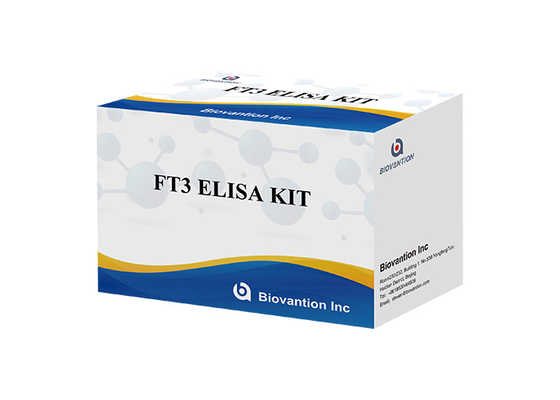 Para laboratorio o hospital Kit de prueba Elisa de alta precisión para estimulación de folículos libre de triiodotironina