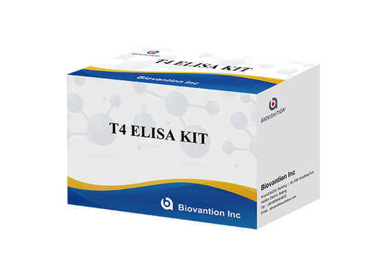 Kit de detección de tiroxina T4 Elisa