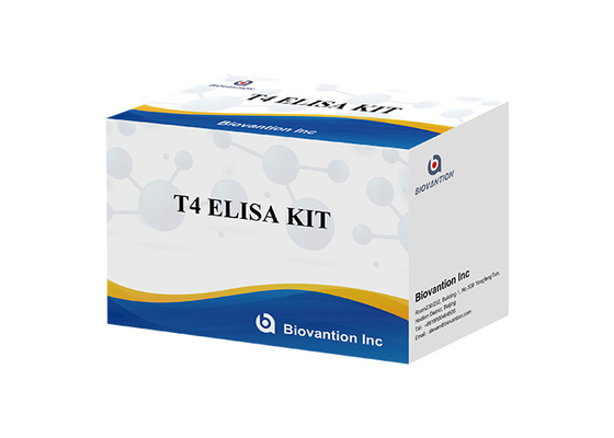 Kit de detección de tiroxina T4 Elisa Detección de alta precisión Uso hospitalario y de laboratorio