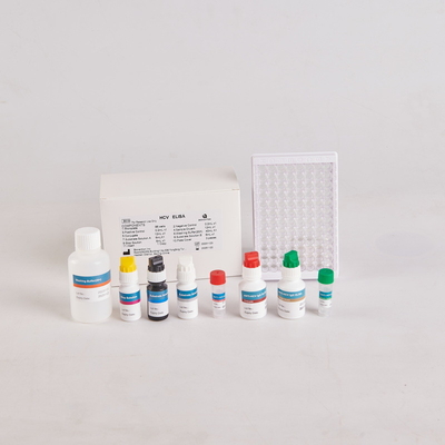 Kit Elisa de PTH humana/Kit Elisa de hormona paratiroidea humana para RUO con 96 pruebas