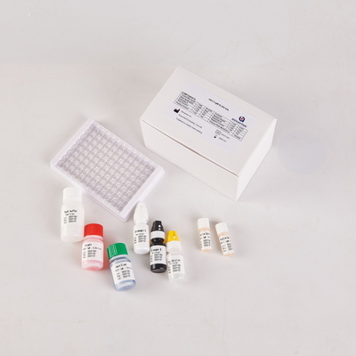 Kit de tratamiento para el tratamiento de la infección por HSV2