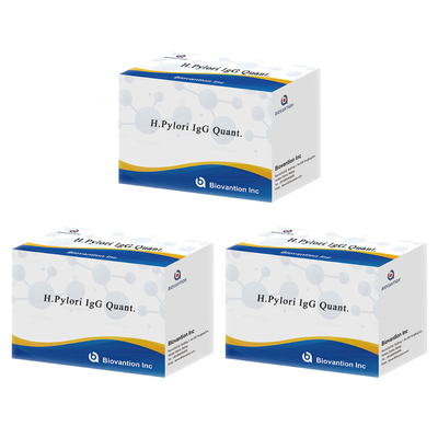 H.Pylori IgG Quant. Kit Elisa Origen Kit de prueba Elisa Format Kit de Biovantion