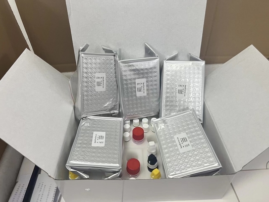 11-dehidro-tromboxano B2 11dhTxB2 Kit de pruebas ELISA IVD Alta precisión y operación sencilla