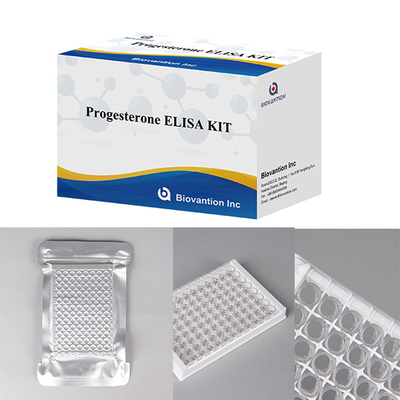 Hospitales Laboratorios Clínicas Utilizan Progesterona Immunoensayo Cuantitativo ELISA TEST KIT