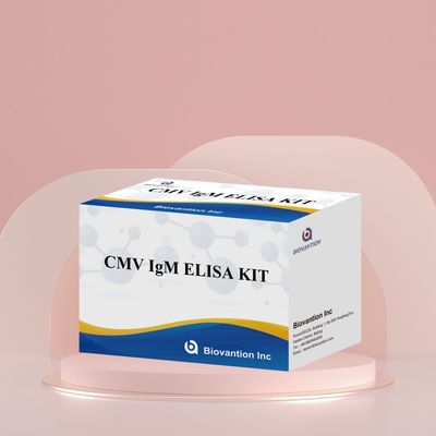 Kit de prueba de alta precisión de CMV IgG Elisa para laboratorio o hospital