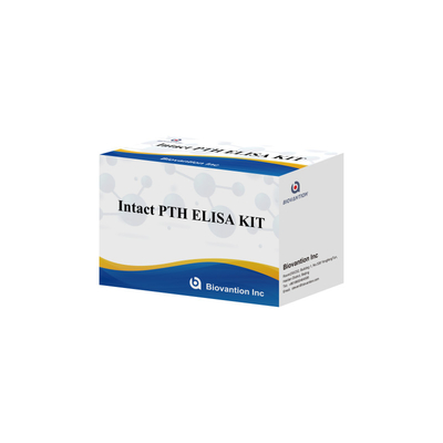 Kit de detección de PTH intacto para humanos Reactivo de detección para plasma sérico humano