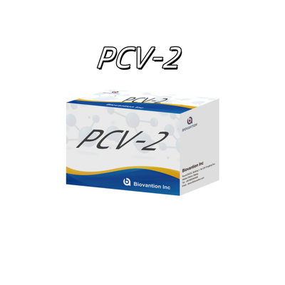 Prueba ELISA WB/S/P PCV-2 para los reactivos veterinarios de anticuerpos animales