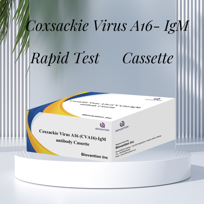 Reactivo de diagnóstico IVD CVA16 Virus de Coxsackie A16 CVA16-IgM Anticorpos en casete WB/S/P Prueba rápida de oro coloidal