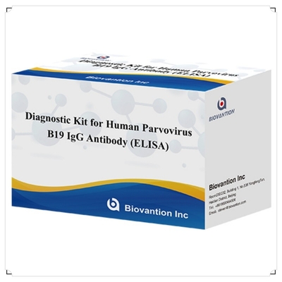 Kit de prueba de ELISA B19 para el parvovirus humano B19 IgM Kit de prueba de anticuerpos Elisa con 96T