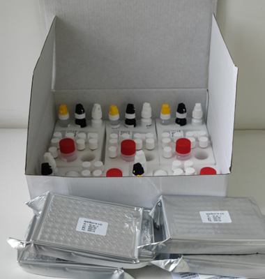Kit de pruebas Elisa de alta precisión de H. pylori IgG para laboratorio o hospital