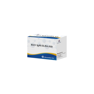 HAV IgM ELISA Kit Alta sensibilidad Hepatitis A Detección de virus Prueba de diagnóstico precisa y confiable para laboratorios clínicos