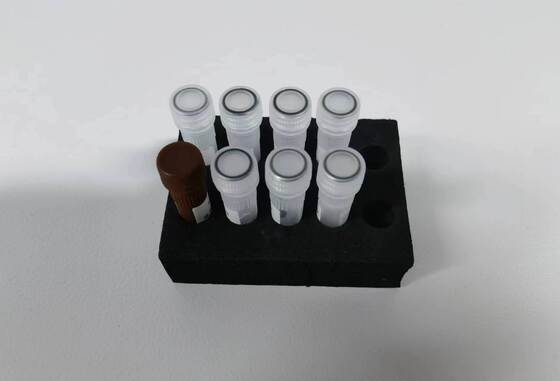 Prueba de PCR de detección de alta calidad del dengue con 48 pruebas