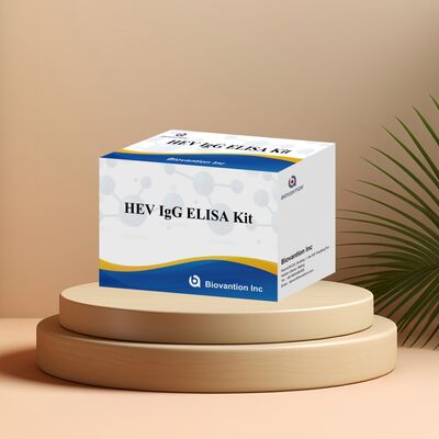 Kit de prueba ELISA HEV-IgG de alta sensibilidad con presentación de 96T y 18 meses de vida útil para el diagnóstico de hepatitis E
