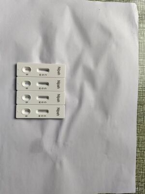 Nipah Virus (NiV) IgG/IgM Rapid Test Kit  Colloidal Gold vitro diagnostic