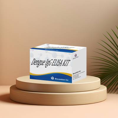 Kit de ELISA IgG de dengue personalizable con alta sensibilidad para 96 pruebas/kit en laboratorios clínicos