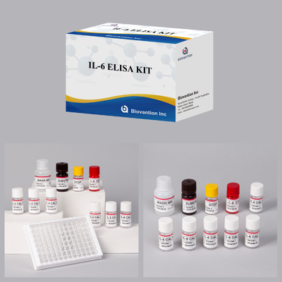 Kit ELISA IL6 | Kit de Ensayo ELISA tipo Sándwich de Interleucina-6 para Detección Cuantitativa de Citocinas en Muestras Biológicas, Suero, Plasma, Sobrenadante Celular