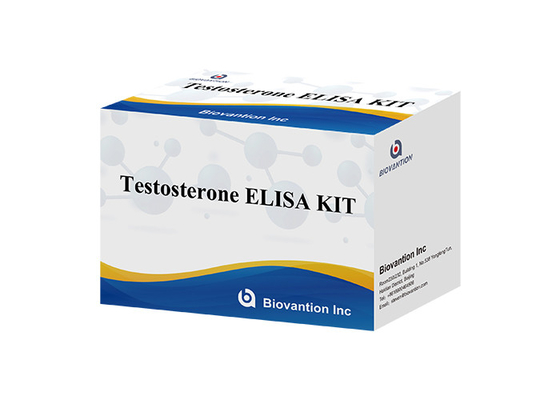 Laboratorio o Hospital Kit de prueba de alta precisión de testosterona libre de ferro Tes ELISA