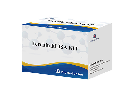 Para laboratorio o hospital Kit de prueba de alta precisión de ferritina Elisa