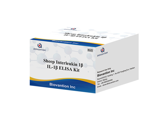 Interleukin de las ovejas 1 prueba Kit Il 1b Elisa Kit de Beta Elisa Kit IL1F2 ELISA RUO