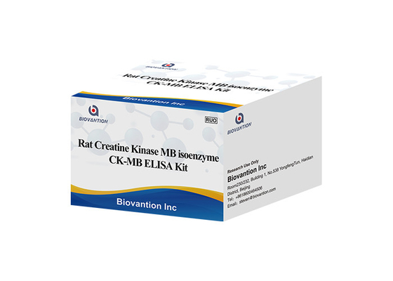 Equipo de la prueba del isoenzima CK-MB ELISA RUO del MB de la cinasa de la creatina de la rata