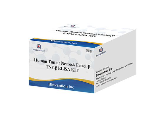 Alfa ELISA KIT Human Tumor Necrosis Factor LTA de la linfotoxina de TNFB TNFSF1 beta