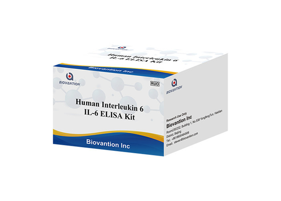 Factor estimulante humano 2 BSF-2 IFNB2 del equipo IL-6B-Cell de la prueba del Interleukin 6 RUO