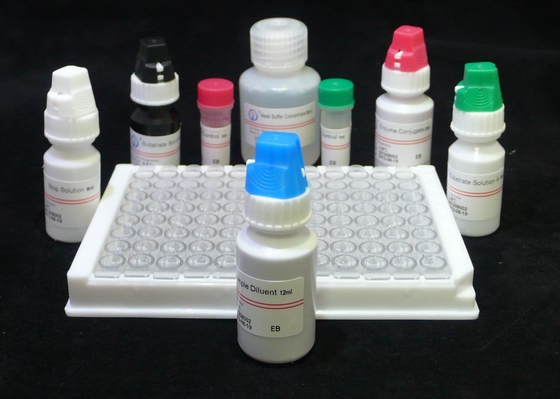H.Pylori IgG Quant. Kit Elisa Origen Kit de prueba Elisa Format Kit de Biovantion