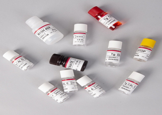 Kit de pruebas de alta precisión de laboratorio o hospital para pruebas de CMV IgG ELISA