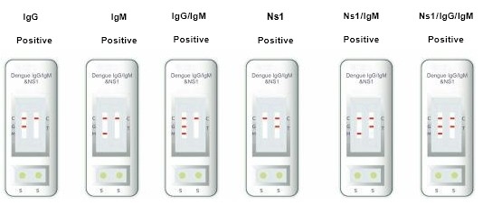 Hospital, Centro Médico, Kit de prueba IgG e IgM de dengue de alta precisión en un solo paso