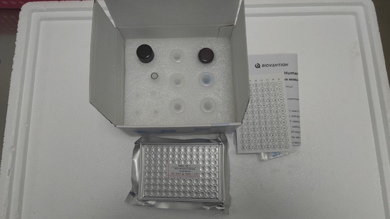 Método ELISA VEGF de ratas para detectar enfermedades infecciosas con una sensibilidad y precisión del 95%