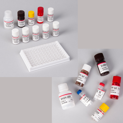 Kit Elisa Pro-BNP humano / Kit Elisa péptido natriurético para el cerebro