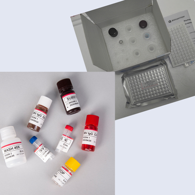 Kit Elisa para el MEPI humano con 96T