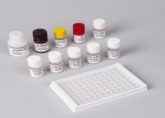 Kit de detección de tiroxina T4 Elisa Detección de alta precisión Uso hospitalario y de laboratorio