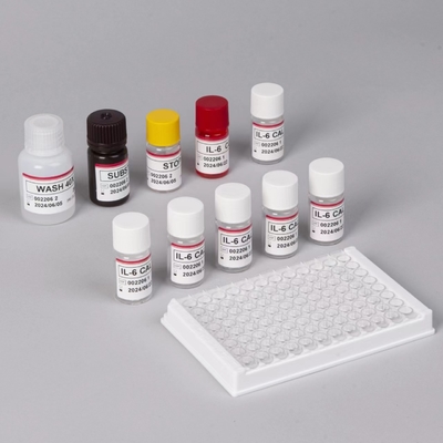 Kit de prueba de IL-6 Interleucina 6 Elisa con tiempo de ensayo de 2-3 horas Biovanción Sero / formato plasmático 18 meses