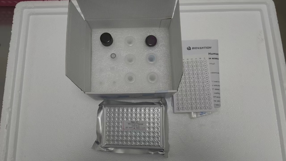 Prueba de ELISA de IGF-1 RUO para la especificidad en suero/plasma Prueba de ELISA de 2-3 horas Almacenado a 2-8.C