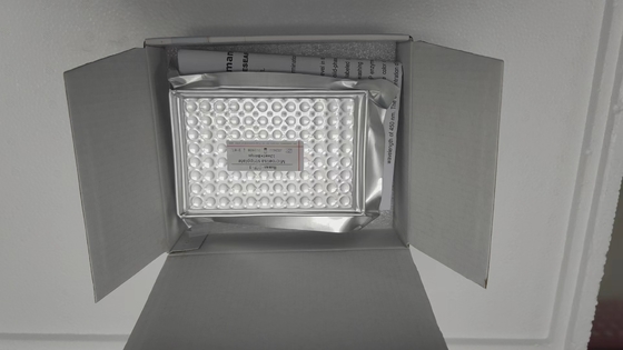 Prueba de ELISA de IGF-1 RUO para la especificidad en suero/plasma Prueba de ELISA de 2-3 horas Almacenado a 2-8.C