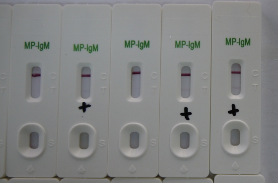 Cassette de prueba de MP IgM de oro coloidal de orina con una vida útil de 24 meses