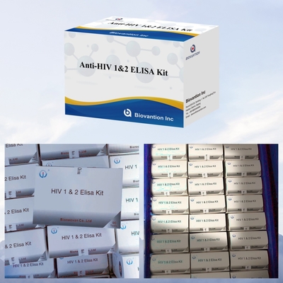 Biovantion Kit de pruebas de ELISA anti-VIH 18 meses Período de validez para las pruebas de VIH- 1 y VIH- 2