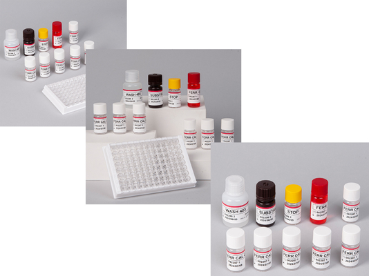Laboratorio o hospital Kit de prueba de alta precisión de ferritina humana FE ELISA