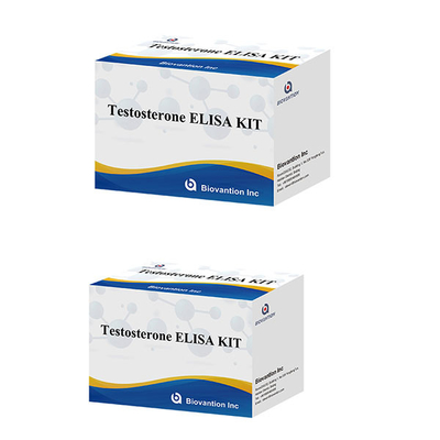 Hormona sexual masculina Hormona de testosterona (cuantitativa) Kit de pruebas Elisa para el diagnóstico
