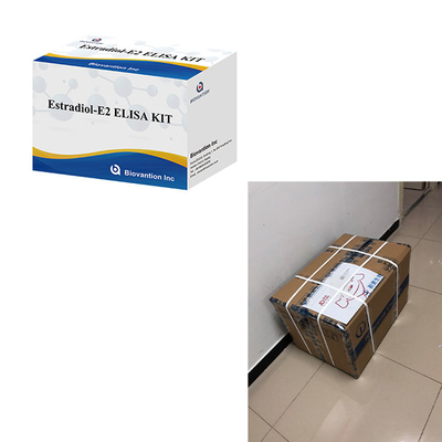Para laboratorio o hospital Kit de prueba de estradiol Elisa de alta precisión