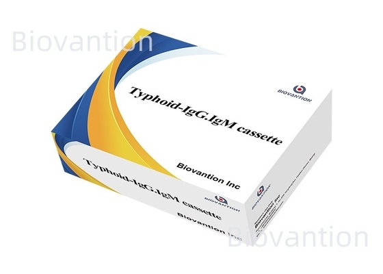 Tifoide--IgM&IgG para laboratorios y hospitales Kit de prueba rápida de sangre de fiebre tifoide