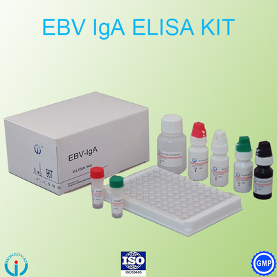 Kit de detección de pruebas inmunológicas para EBV-VCA IgA Ab ELISA Teat Kit Uso previsto