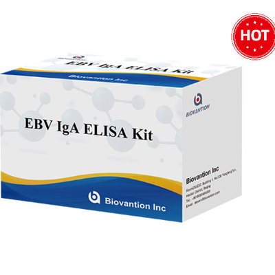 Kit de detección de pruebas inmunológicas para EBV-VCA IgA Ab ELISA Teat Kit Uso previsto