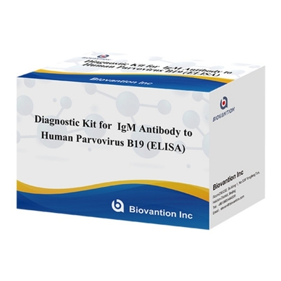 Kit de diagnóstico para el parvovirus humano B19 IgM Kit de prueba de anticuerpos Elisa con 96T