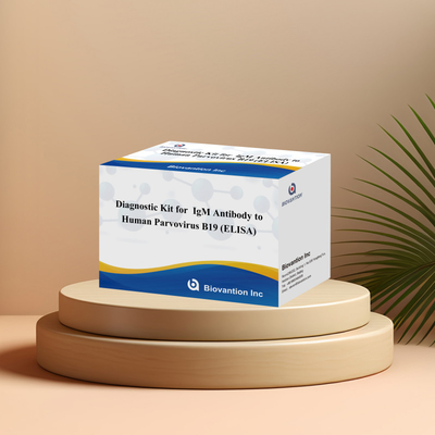Kit de diagnóstico para el parvovirus humano B19 IgM Kit de prueba de anticuerpos Elisa con 96T