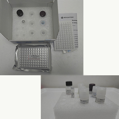 Kit de pruebas de vitamina E Elisa de productos vinculados a enzimas