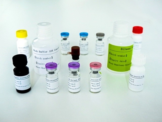 Detección de respuesta inmune mediada por células T específicas de micobácteria tuberculosis Kit de prueba Elisa